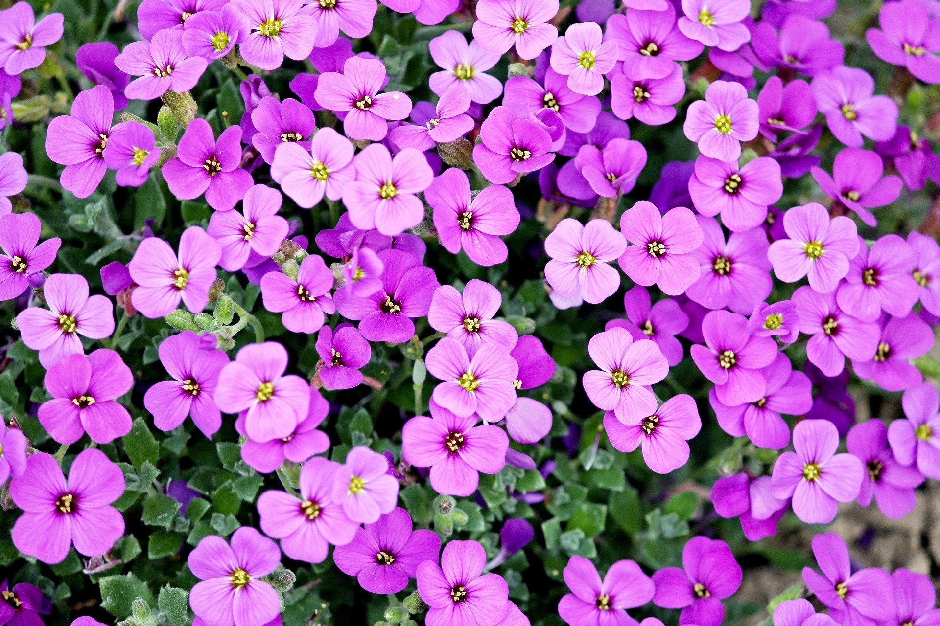 Frühling